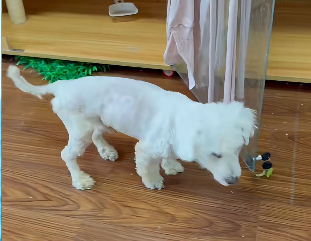 呼呼护理后