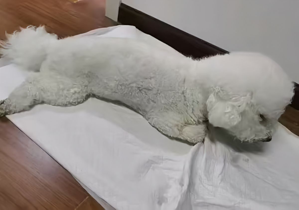 呼呼护理前