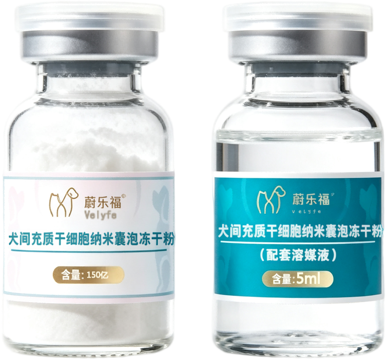 纳米囊泡