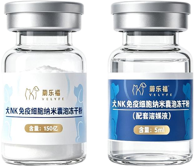 NK免疫细胞来源纳米囊泡