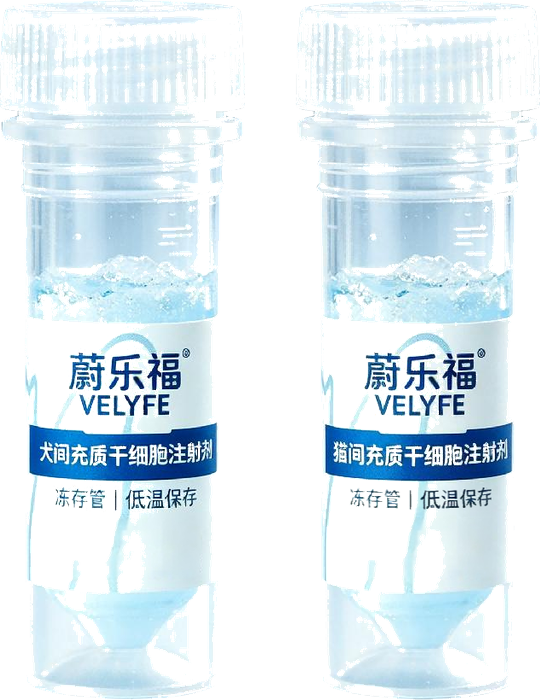 注射级间充质干细胞